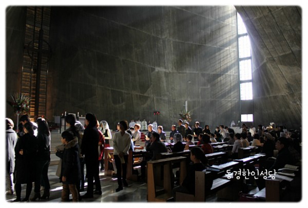 3e384026c99eaedb6a7653e4d43de29a_1749713