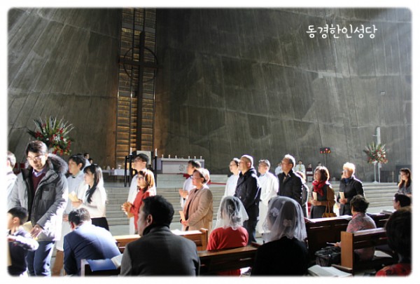 3e384026c99eaedb6a7653e4d43de29a_1749713