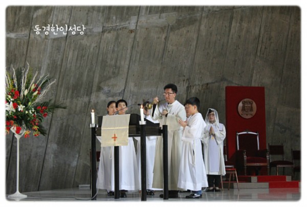 3e384026c99eaedb6a7653e4d43de29a_1749713