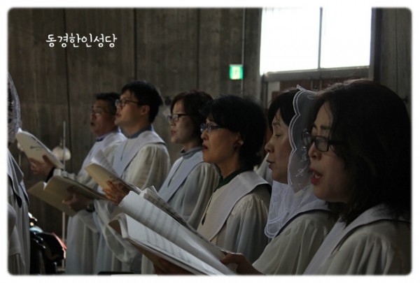 3e384026c99eaedb6a7653e4d43de29a_1749713