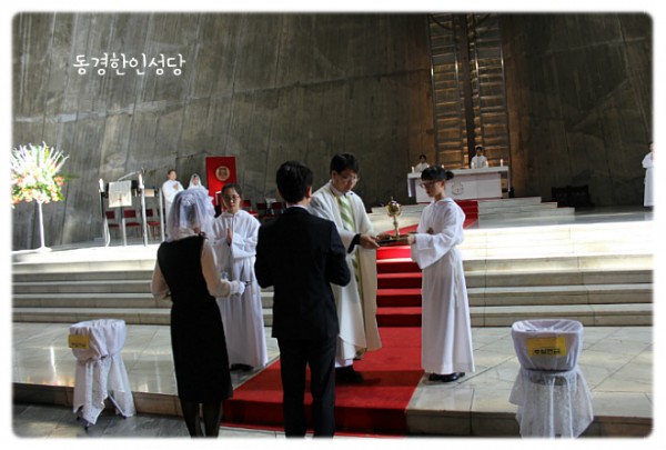 3e384026c99eaedb6a7653e4d43de29a_1749713