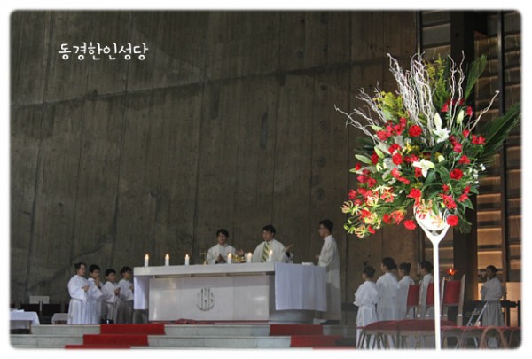 3e384026c99eaedb6a7653e4d43de29a_1749713