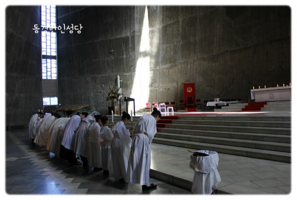 3e384026c99eaedb6a7653e4d43de29a_1749713