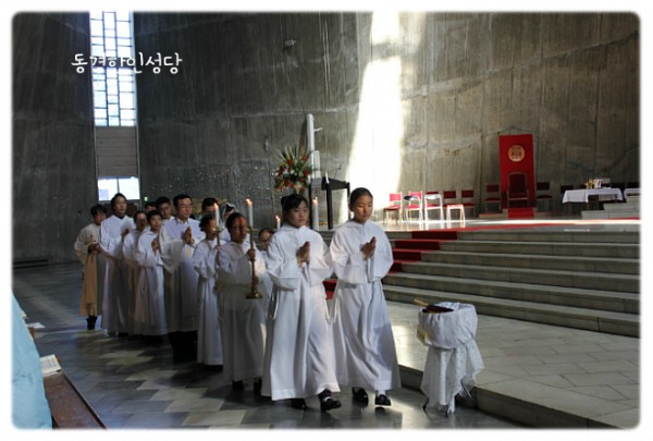 3e384026c99eaedb6a7653e4d43de29a_1749713