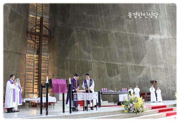 3e384026c99eaedb6a7653e4d43de29a_1749716