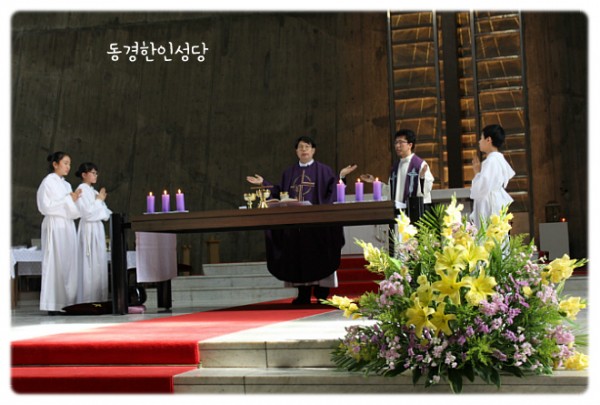 3e384026c99eaedb6a7653e4d43de29a_1749717