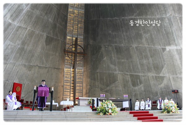 3e384026c99eaedb6a7653e4d43de29a_1749717