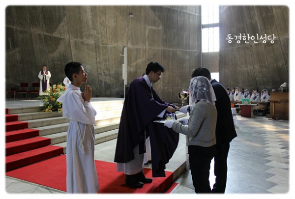 3e384026c99eaedb6a7653e4d43de29a_1749717