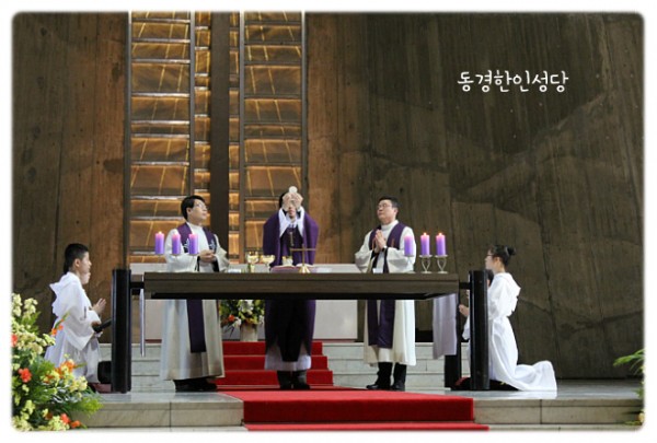 3e384026c99eaedb6a7653e4d43de29a_1749717