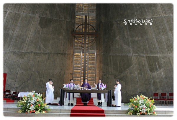 3e384026c99eaedb6a7653e4d43de29a_1749717