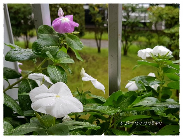 46b63bbb2043ebe294f674722c6d5e86_1750144