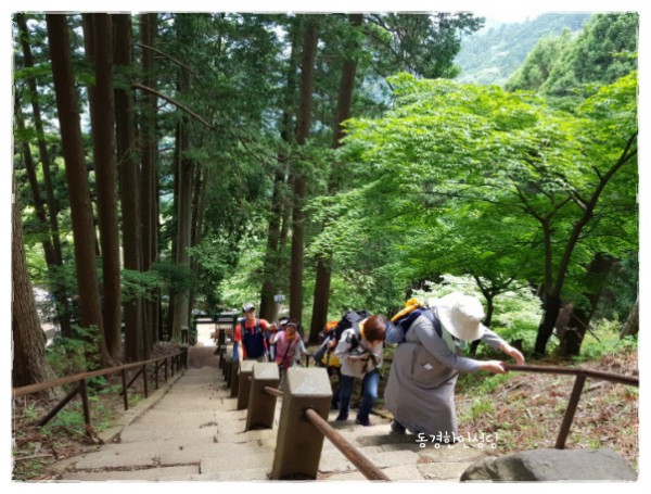 4d4dd38337d7ccb8c0584759642c1736_1750117