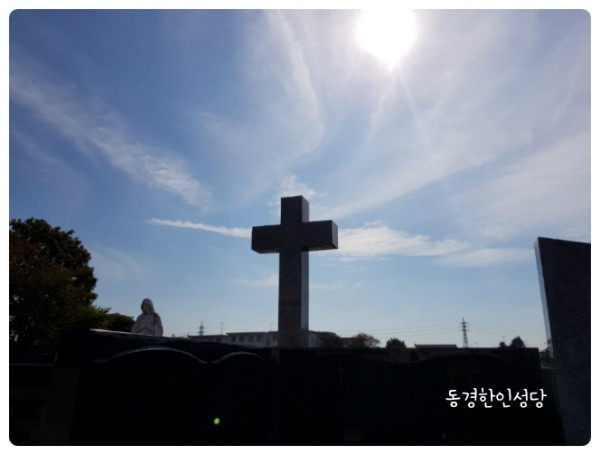 5a9c365b84606f1ea9a5d2a2ba337216_1749880