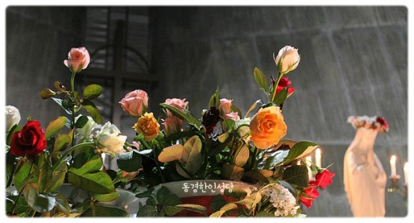 5b41bf8ca38118eb6db632ecc354a5c9_1750206