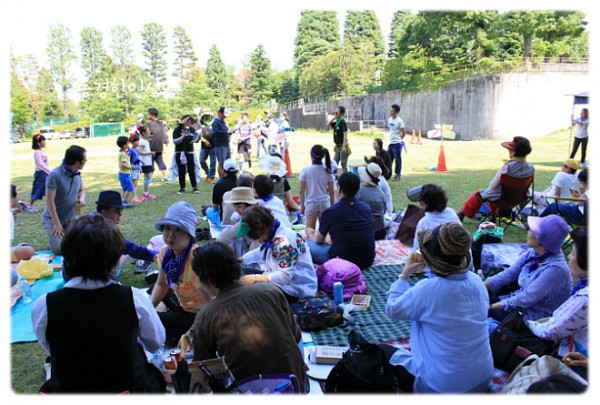 6d4d8e9245584bcfa90316432a952e0f_1749818