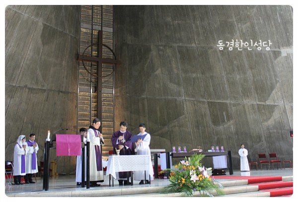 703448fde0dde6dbcdad828d61b36a7a_1750056