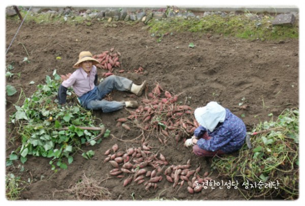 773d4ae02b87f1de8da50d200a8fec17_1749542