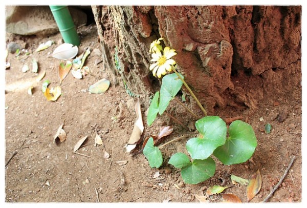 7a926c72f73b152ceb3e6349fac075c6_1749934