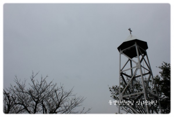 7ae14654a2c1699b23c859ba29f9f4f9_1749558