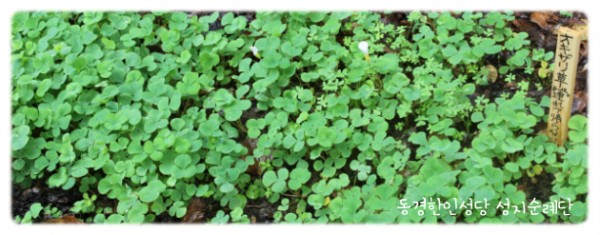 7ae14654a2c1699b23c859ba29f9f4f9_1749558