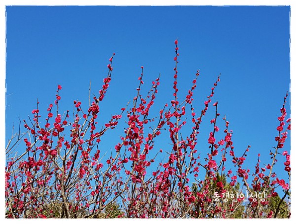 830684b8174a5adc45b2fa11b26d4e54_1750057