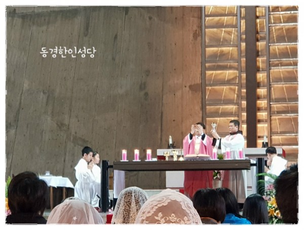 830684b8174a5adc45b2fa11b26d4e54_1750057