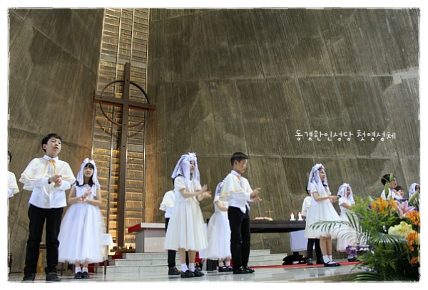 e8e0c3e7d07dd01e362873c173803de8_1750104