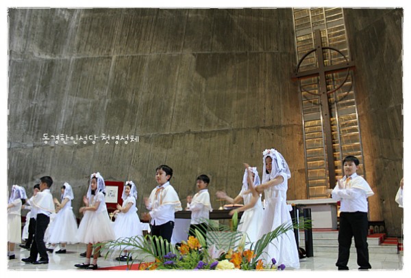 e8e0c3e7d07dd01e362873c173803de8_1750104