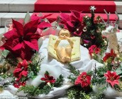 주님 성탄 대축일 미사