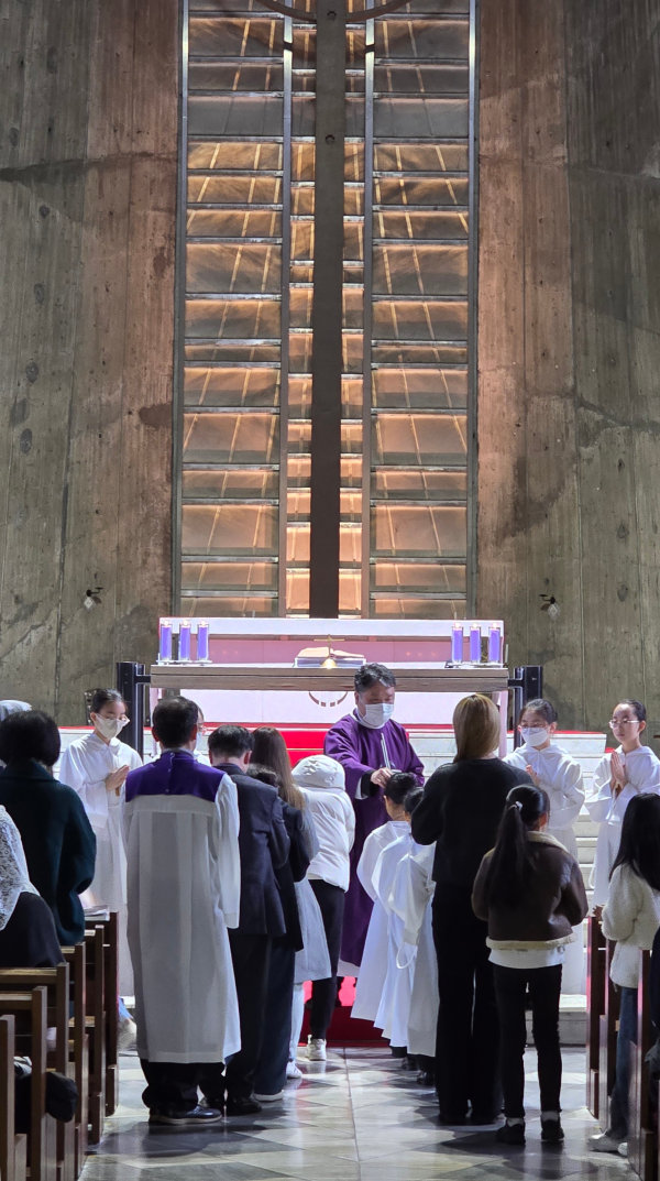 9aeab8730e8f1d74000bce6aabbeeed2_1771809