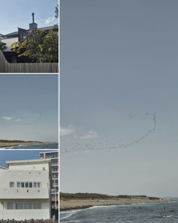 997fac1db06208728811025a237e015e_1772719