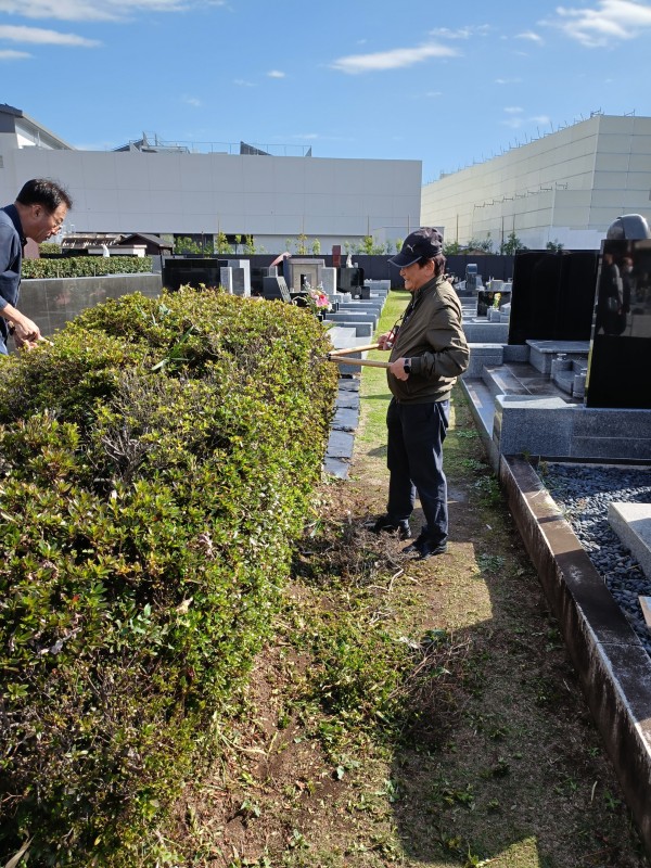 6e59761cec34148a8add1dc968c818ae_1762229